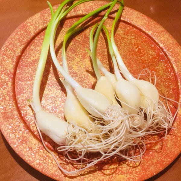 発芽にんにく天ぷら 浜松料理 じねん