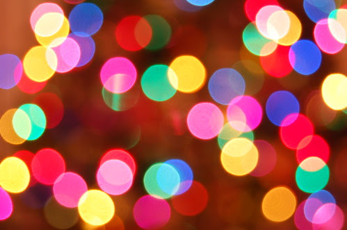 The Christmas Tree Spots (by Brain Toad Photography)