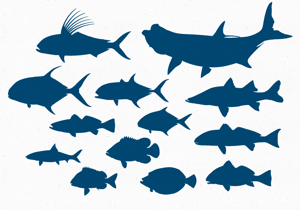 Free Free 92 Silhouette Cute Fish Svg SVG PNG EPS DXF File