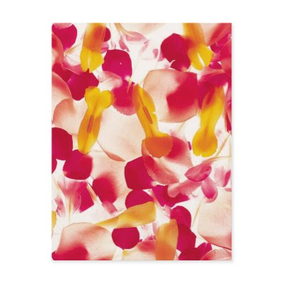 Extra Nice Flower Petals Post Card