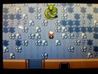 ポケモン エメラルド その７ カイオーガ グラードン レックウザの捕獲 うさぎ愛好会 旧