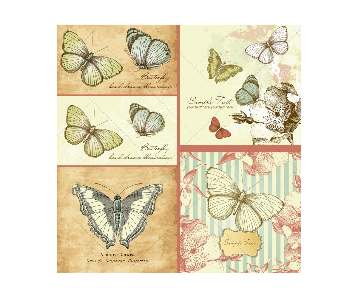 Download Vintage butterfly vector illustrations - drawing ...