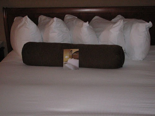 hiltonian pillows