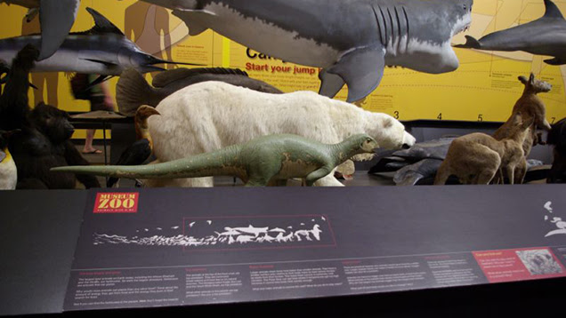 The Best Museum Perks You've Probably Been Missing Out On