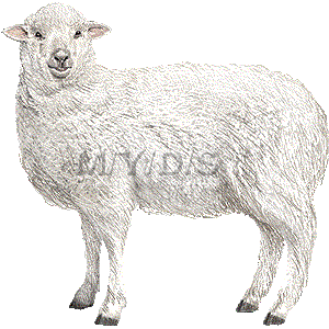 羊 ヒツジのイラスト 条件付フリー素材集