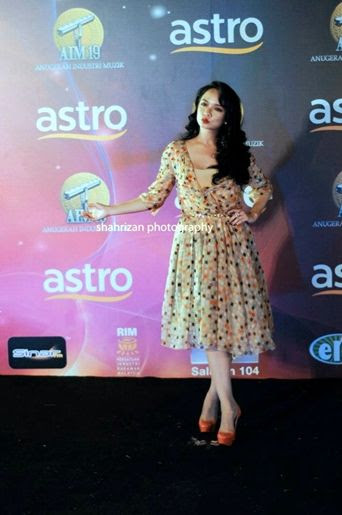 nora danish aim19