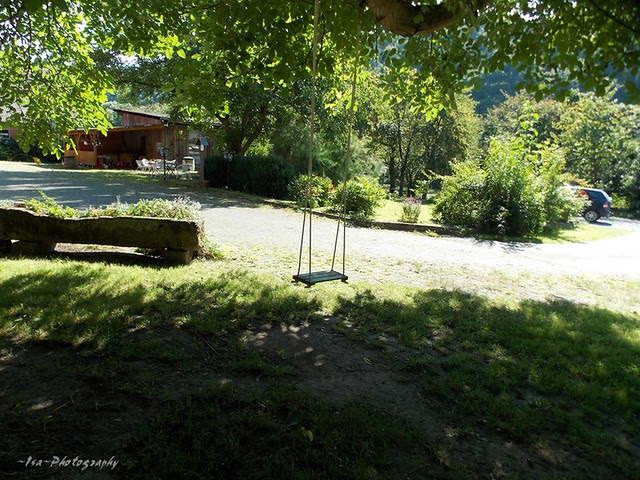 DSCN7834
