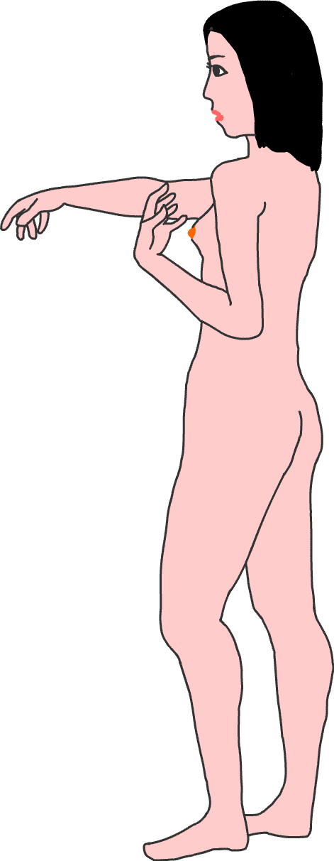 ヌード イラスト ｇｉｆ画像 無料