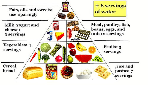 Food pyramid