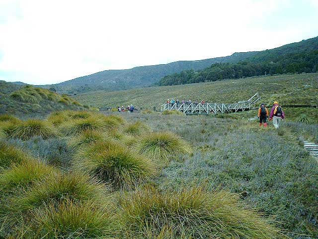 タスマニアツアー