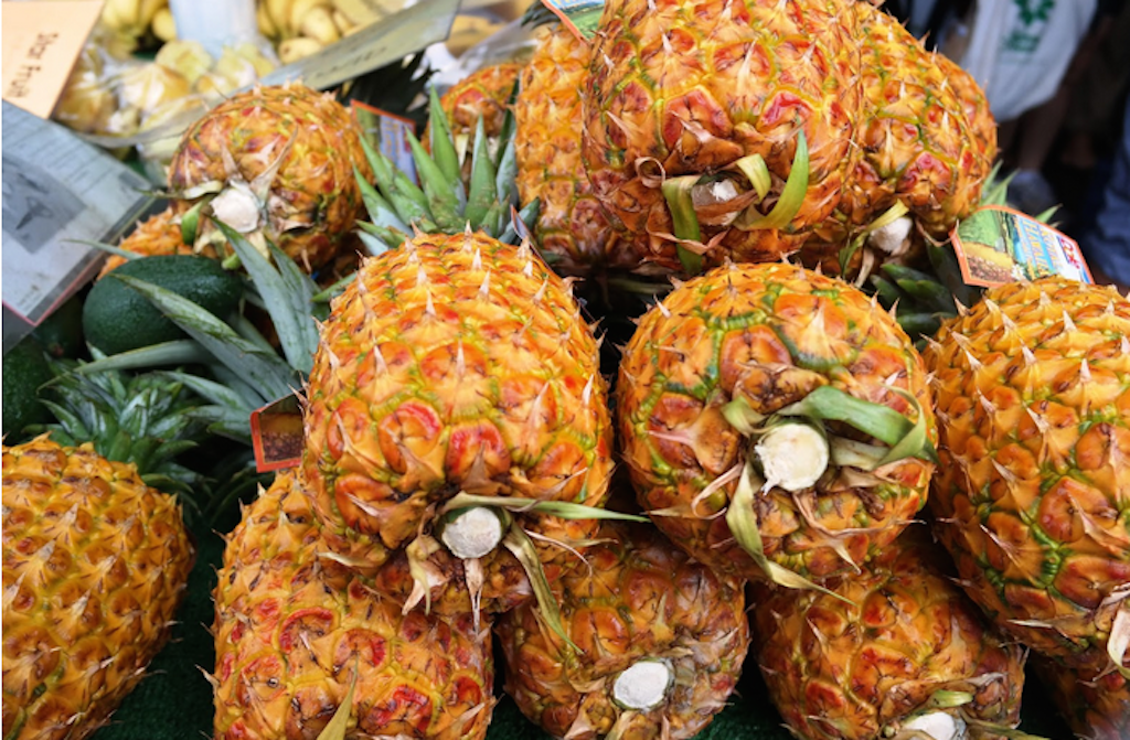 コロナウイルス影響下のハワイ アロハなプロジェクト Farm To Carを紹介します Aloha Girl