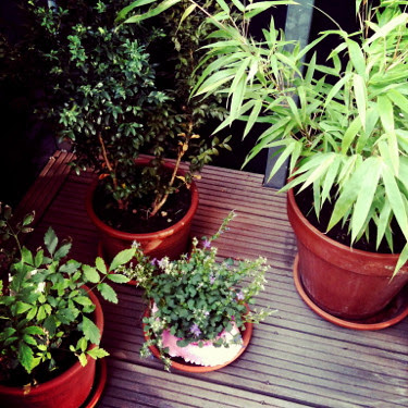 summer balcony