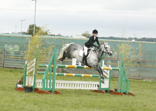 Showjumping 