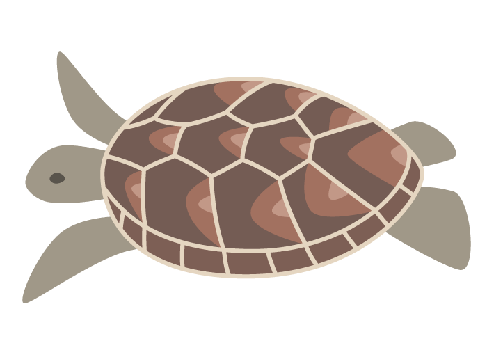 カメ 亀 かわいい無料のフリーイラスト素材集