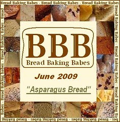 BBB logo June 2009