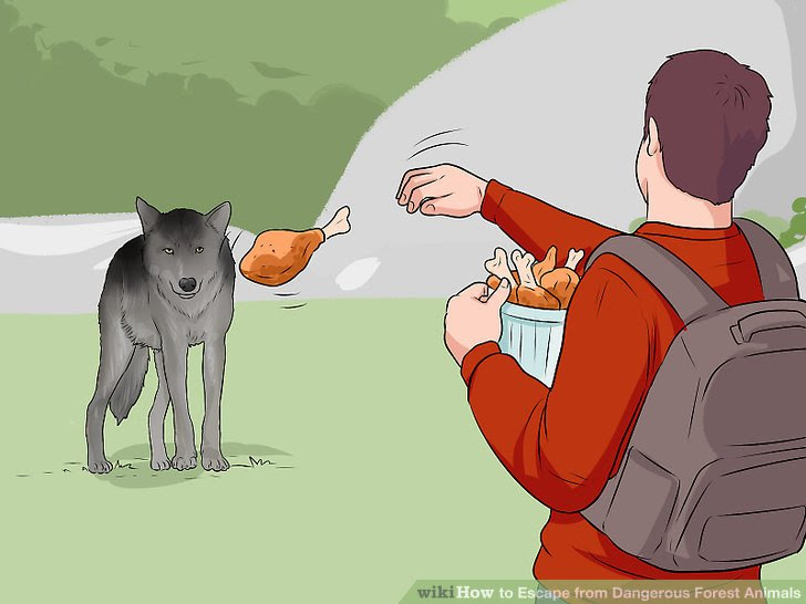 Escape from Dangerous Forest Animals Step 23 Version 3.jpg