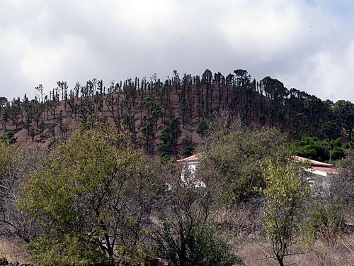 P1040098_a