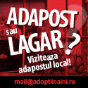 Caini - Anunturi adoptii caini