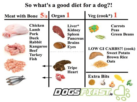 feed  pregnant dog dogs