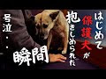 √1000以上 犬犬 247066-犬犬微语言