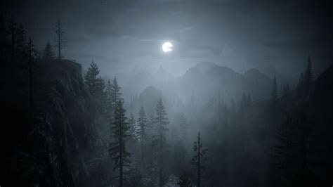 dark forest wallpaper natures wallpapers