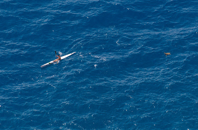IMG_4013crop