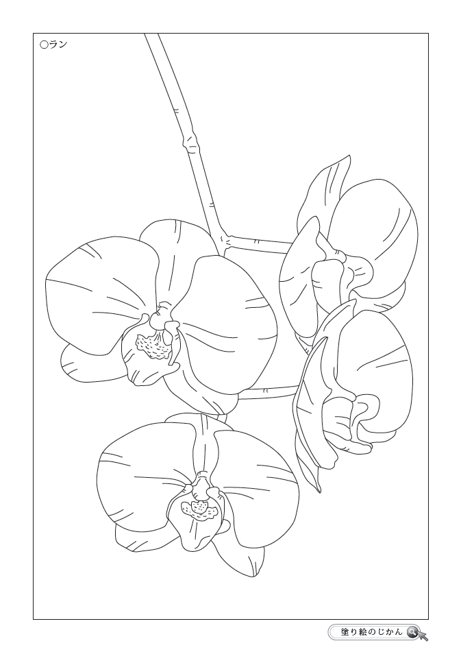 3月の花ぬりえ 塗り絵のじかん