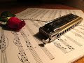 The Harmonica King Reigns Supreme at University Competition