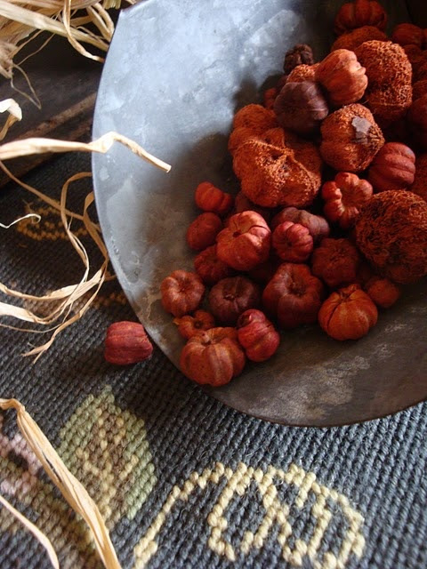 Dried pumpkins in a galvanized scoop