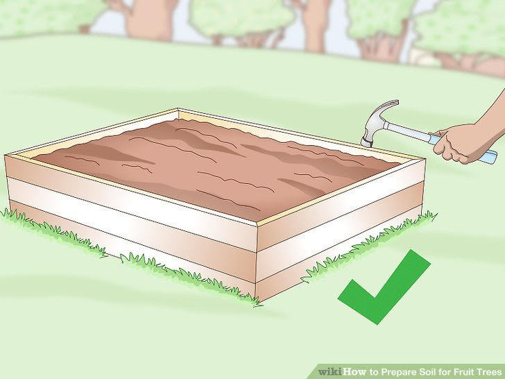 Prepare Soil for Fruit Trees Step 5 Version 2.jpg