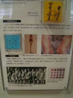 東京都 寄生虫博物館ほか Underzero