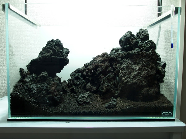 100 続 溶岩石ではじめての石組み 29歳からの45cm水草水槽ブログ2