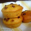 Pumpkin Chocolate Chip Muffin