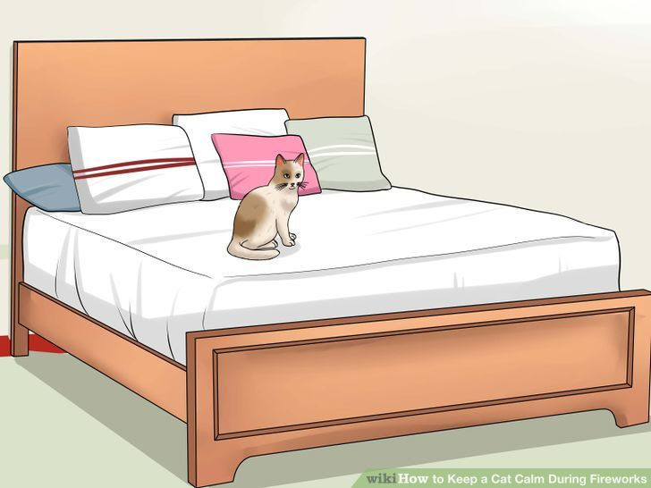 Keep a Cat Calm During Fireworks Step 2 Version 2.jpg