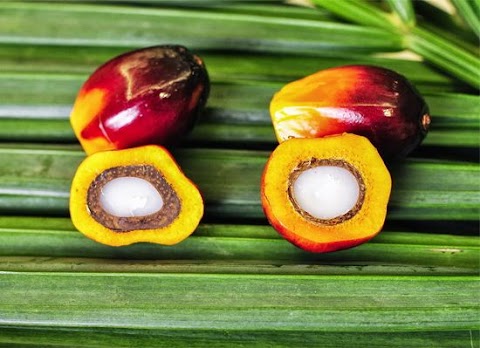 malaysian palm oil board (mpob)