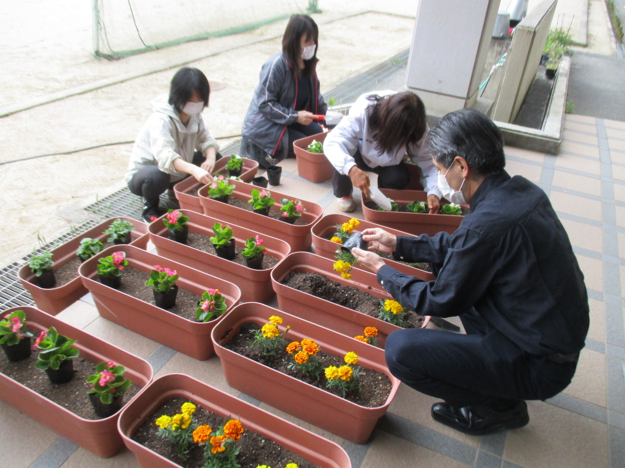 花の植え替えをしました 葛川小中学校