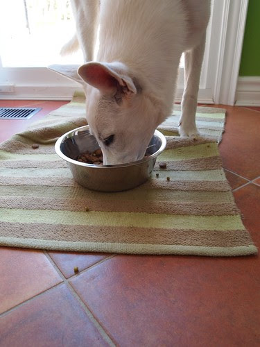 Maggie is a messy eater