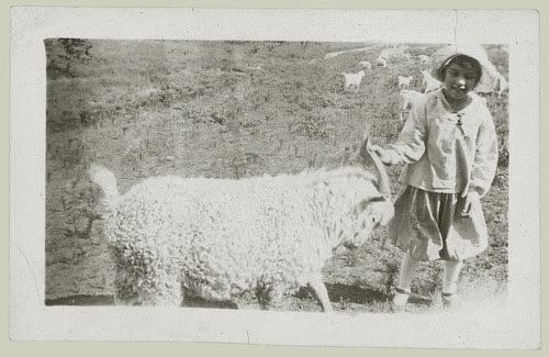 Child and ram