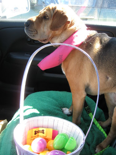 Laney's Easter Egg Hunt