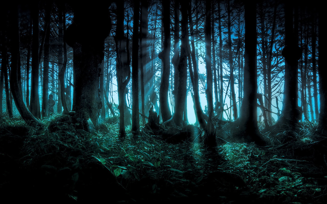http://25.media.tumblr.com/tumblr_m962x2nOlF1ryi8oxo1_1280.jpg