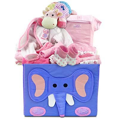 Baby Girl's First Wardrobe Gift Basket