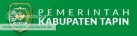 Pemerintah Kabupaten Tapin