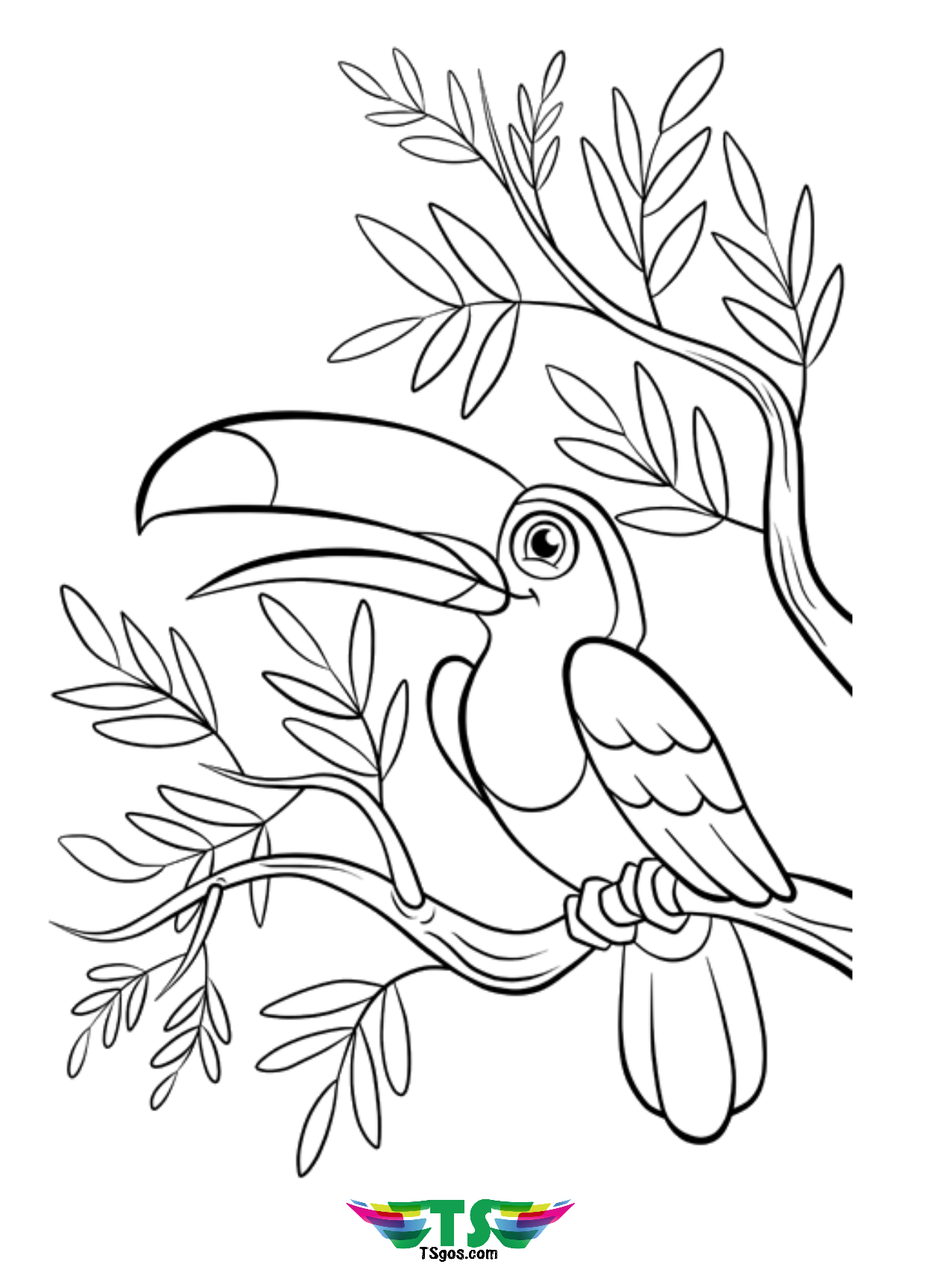 Download Beautiful bird coloring page free download. - TSgos.com