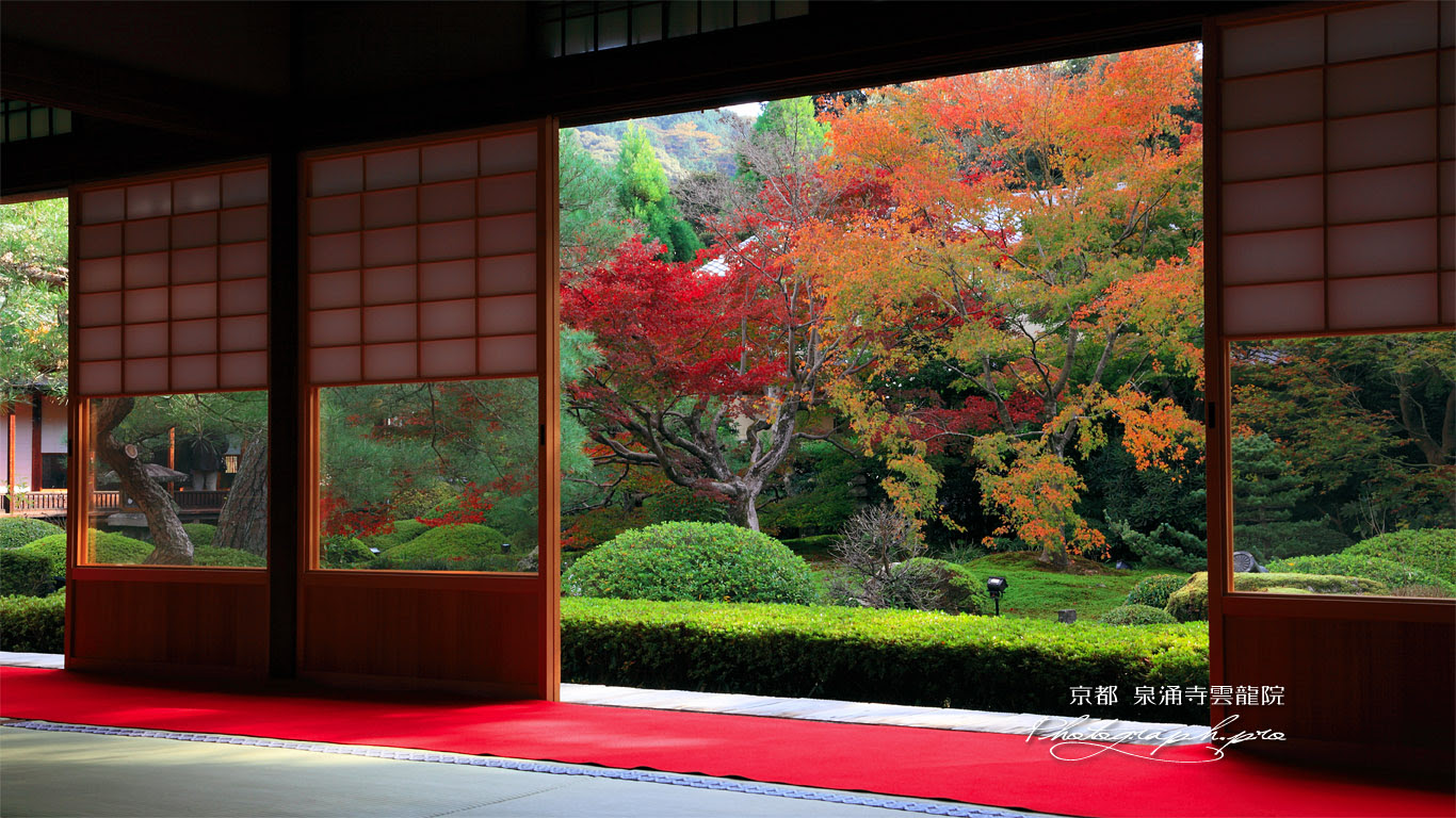 泉涌寺雲龍院 客殿から庭園の紅葉 の壁紙 1366x768