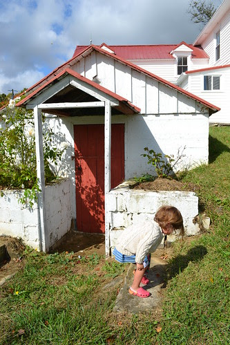 root cellar by ellajohn