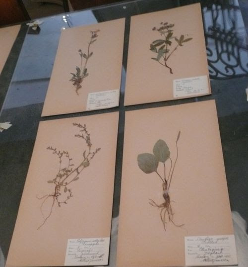 P1050220