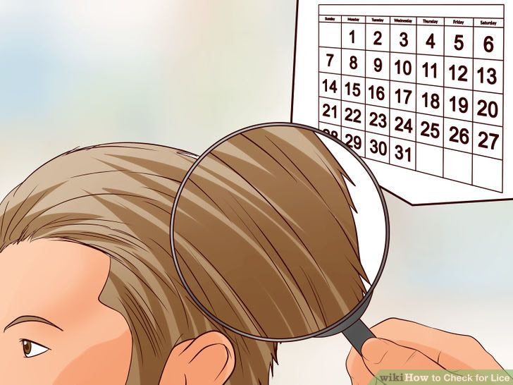 Check for Lice Step 31.jpg