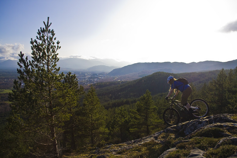 Aviemore  fraserjmcneil  Mountain Biking Pictures  Vital MTB