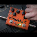 Green Carrot Pumpkin Pi Download Audio Mp3 and Mp4