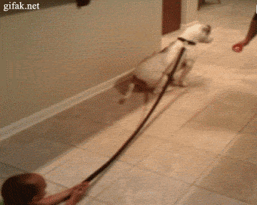 More funny gifs at www.amazinggifs.com